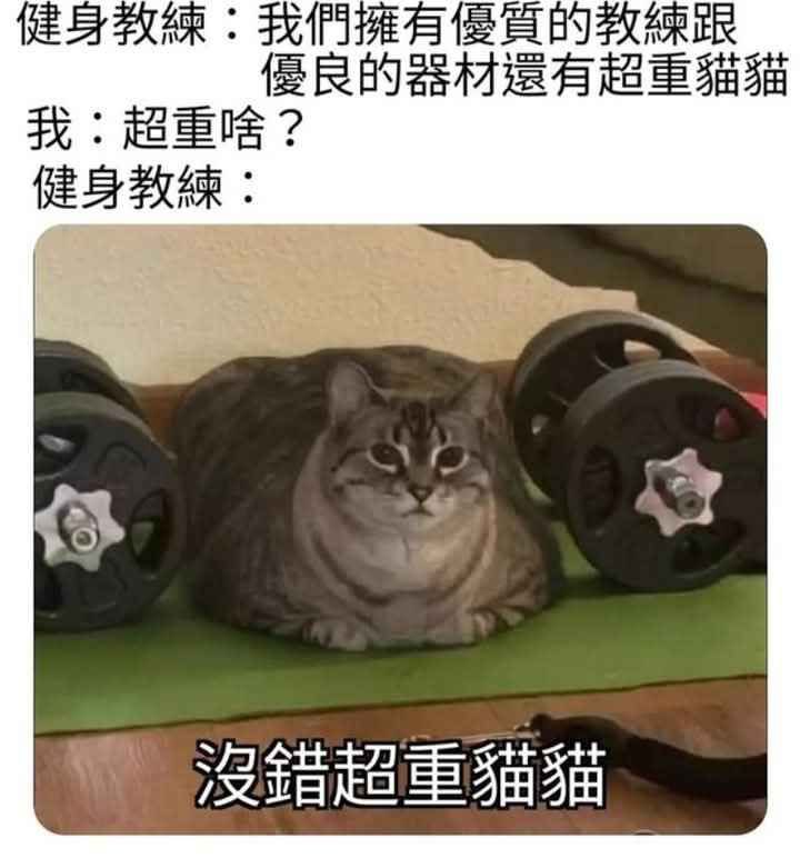 via AXJue