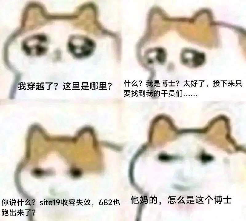 #龙猫via 叮当#龙猫via 叮当