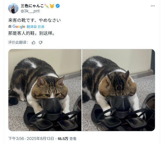 from 什么都能放 via DECADE