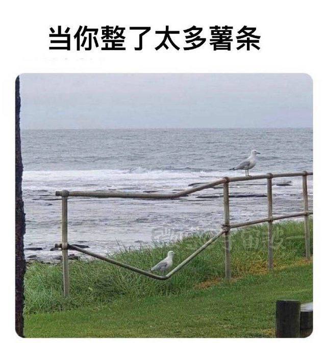 from 叮当喵喵-今天你也很可爱