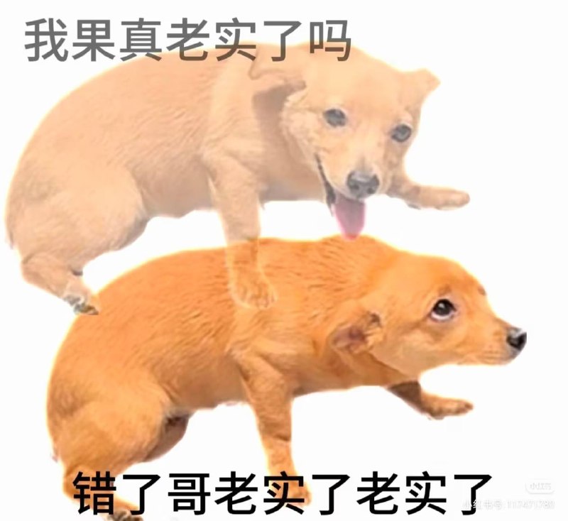 via 榴莲猫
