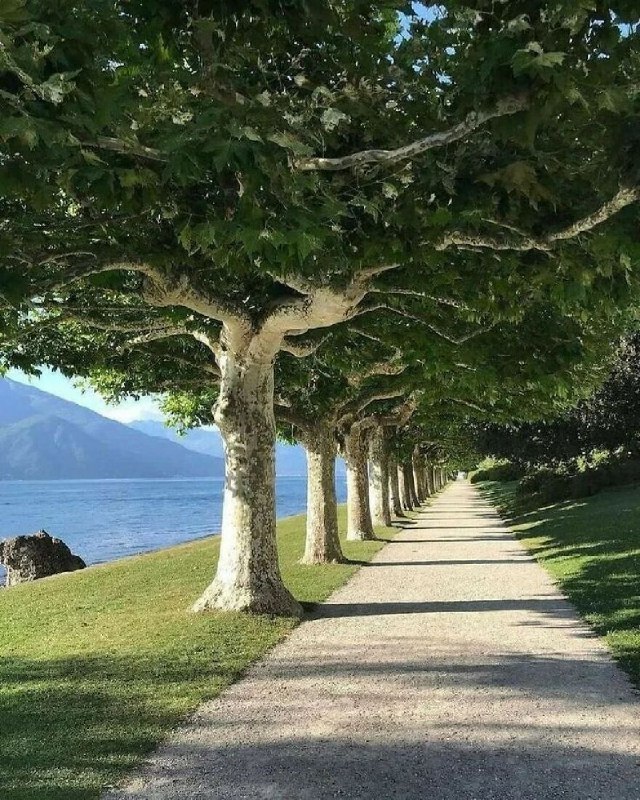 from AXJue via AXJue