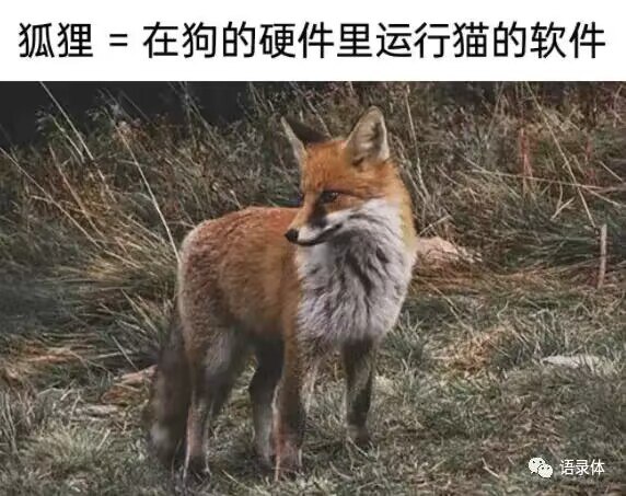 from Kevin Huang