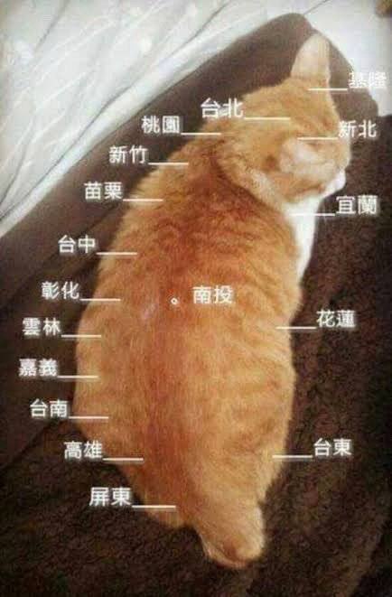 from 什么都能放 via Gary です