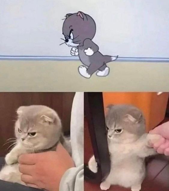 via 叮当