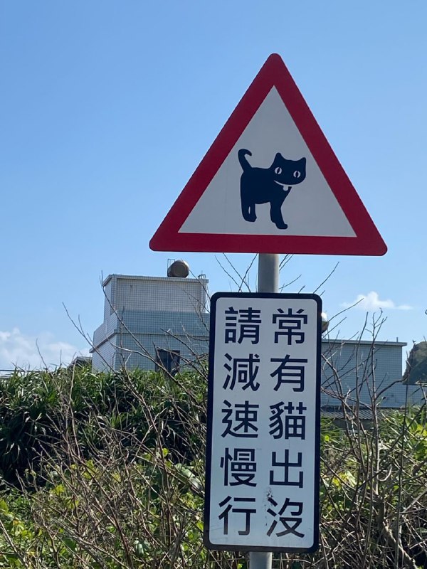 from 叮当喵喵-新春贺岁版