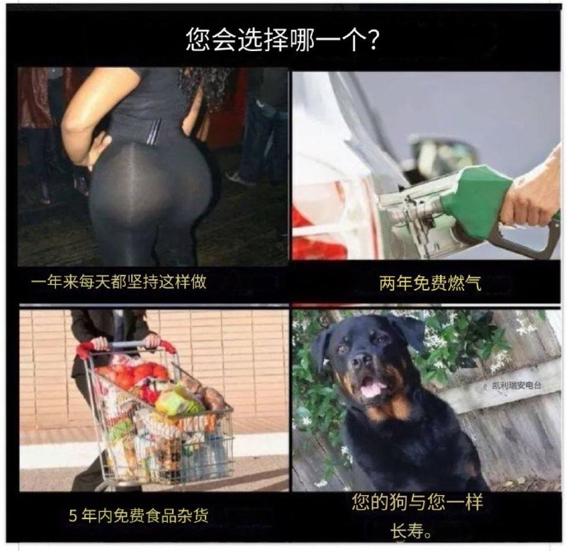 from 派大星的派大星