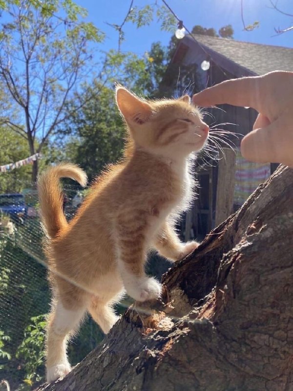 大家都在啊 我发个pussy