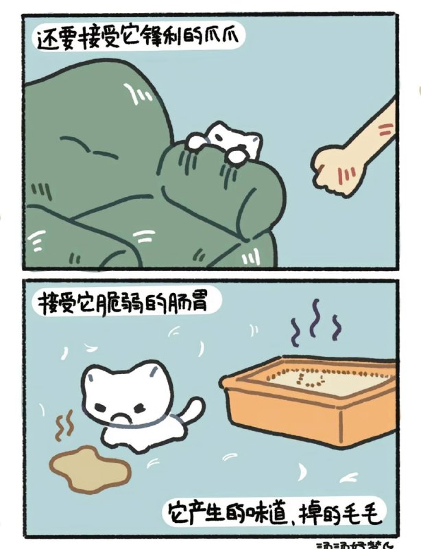 via Gawrfrom 🔮 奇闻异录 与 沙雕时刻 meme collectionvia Gawrfrom 🔮 奇闻异录 与 沙雕时刻 meme collection