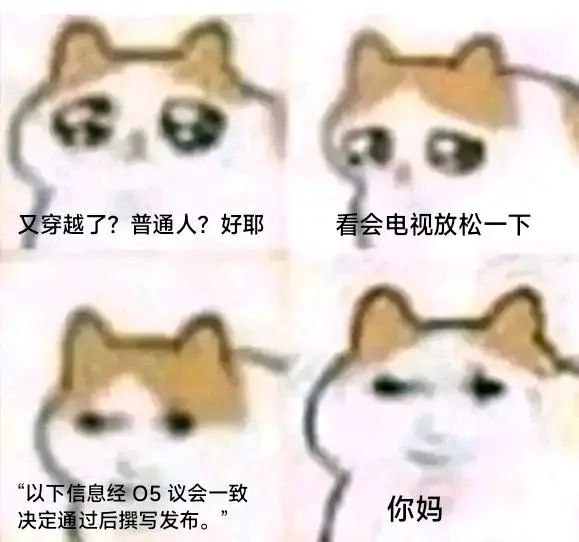 #龙猫via 叮当#龙猫via 叮当