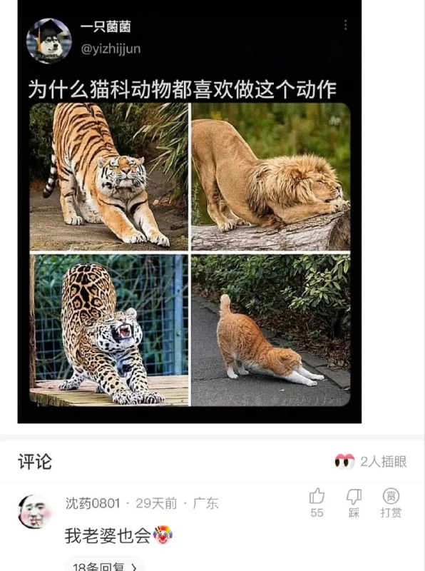 via AXJue/车皇
