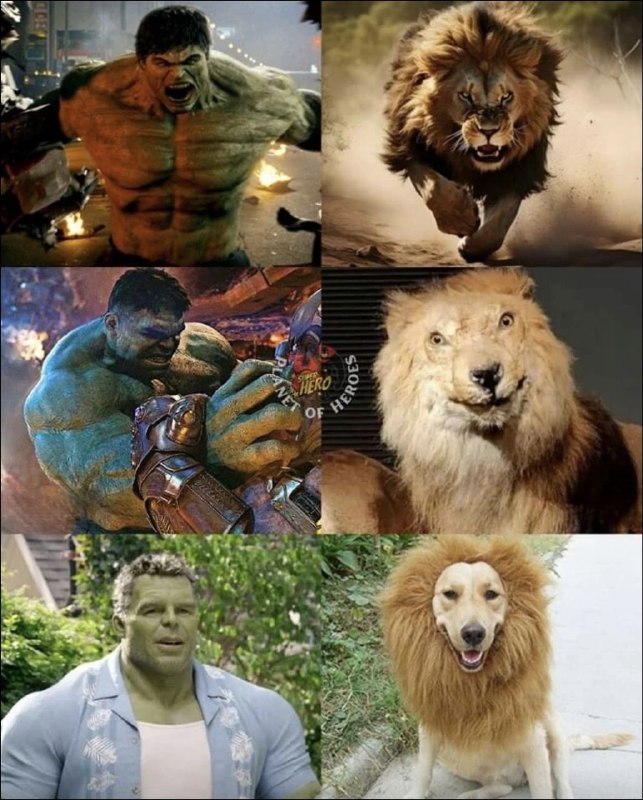 via 幻想