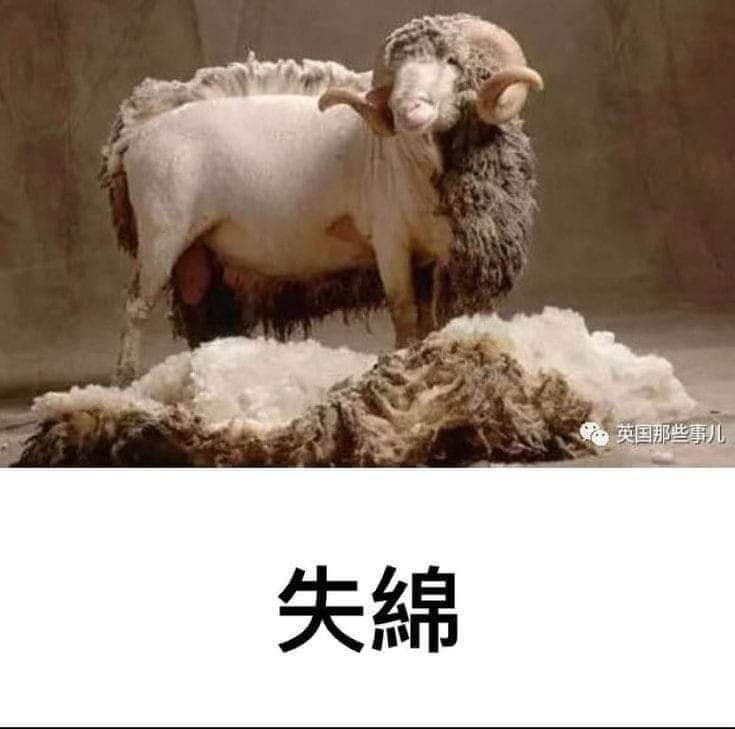 via AXJue/车皇