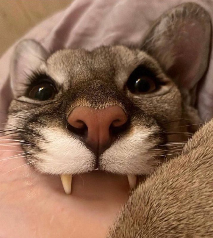 When we see u chatfrom Cute Happy Stuffs