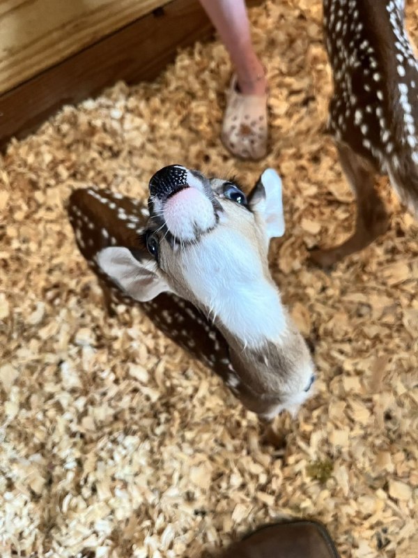 What's dis we woke up at 7 am are we fixing our sleep schedule!?!?from Cute Happy Stuffs