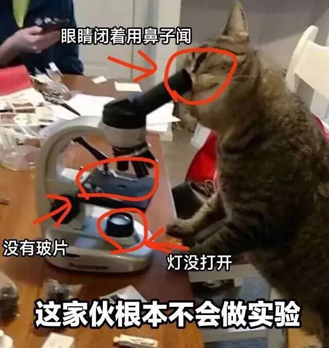 #可爱喵喵from 叮当喵喵-今天你也很可爱#可爱喵喵from 叮当喵喵-今天你也很可爱