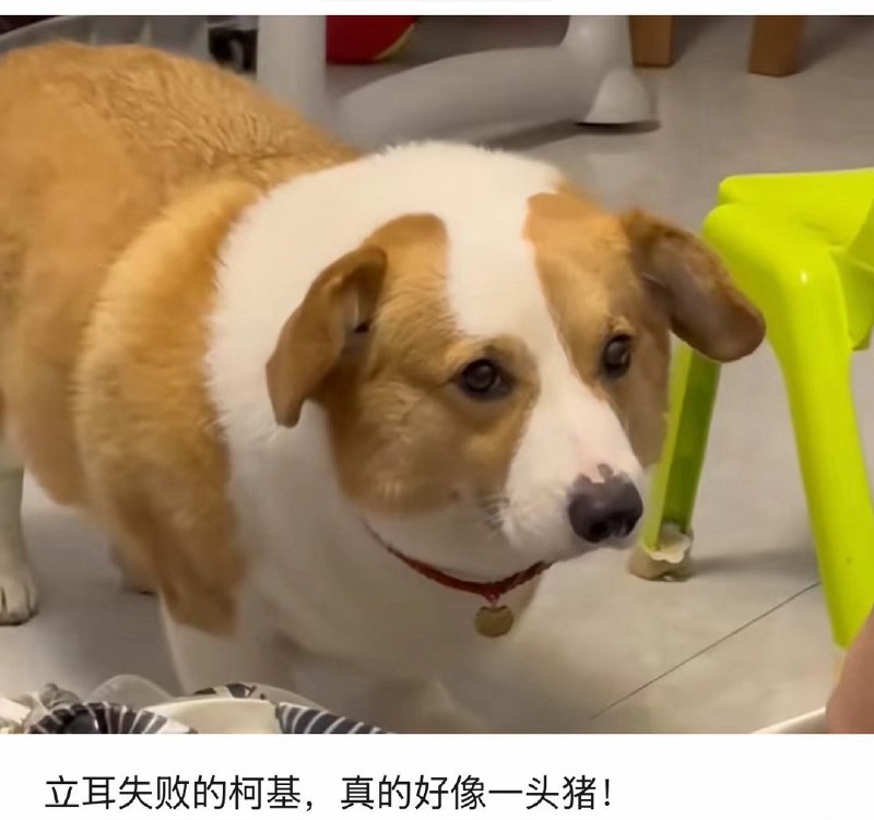 from 什么都能放 via DECADE