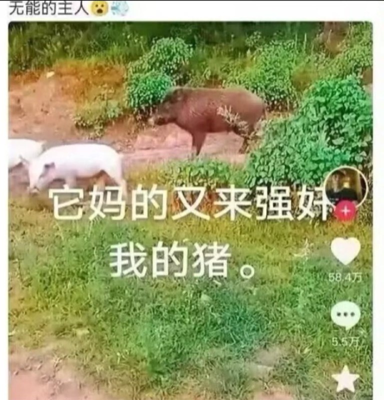 from 什么都能放 via DECADE