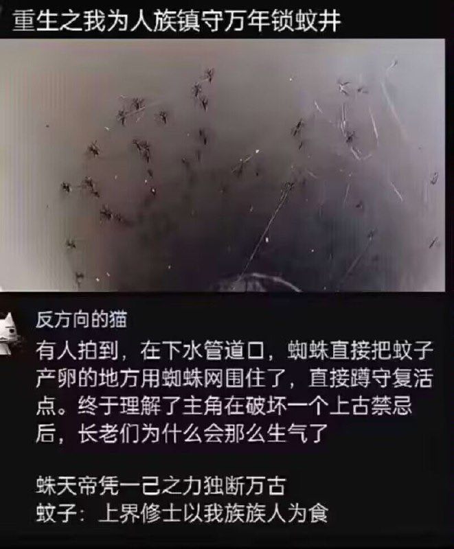 from 什么都能放 via DECADE