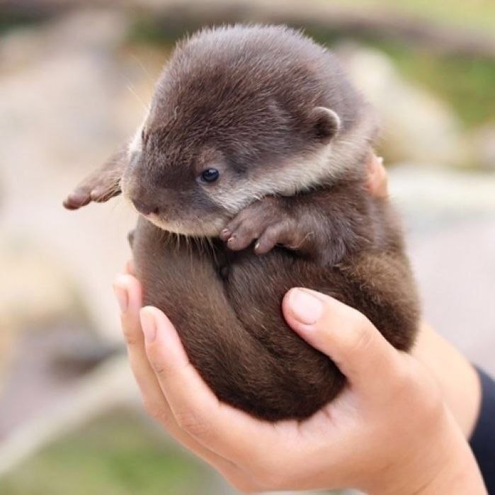 Beholdfrom Cute Happy Stuffs via math@earthonline