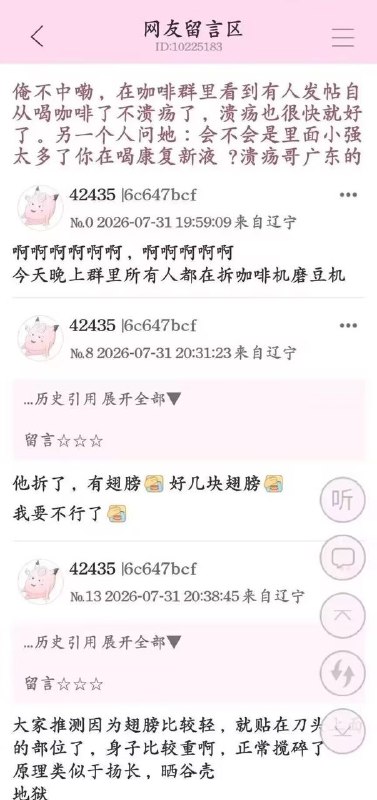 from 什么都能放