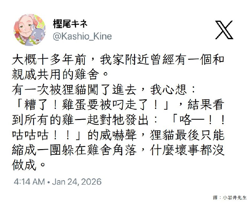 from Lizard Man 蜥蜴人 🦎from Lizard Man 蜥蜴人 🦎