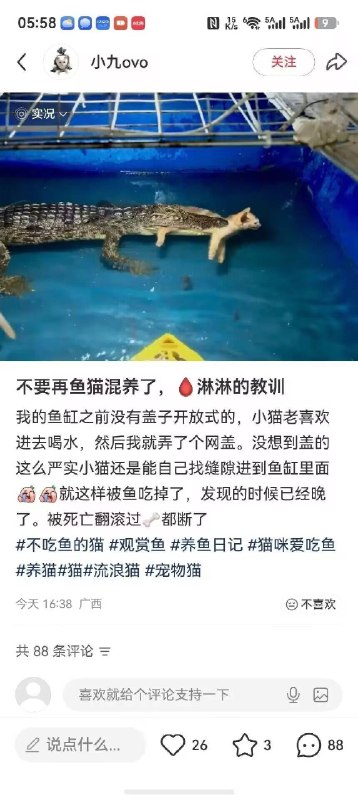 无奖竞猜