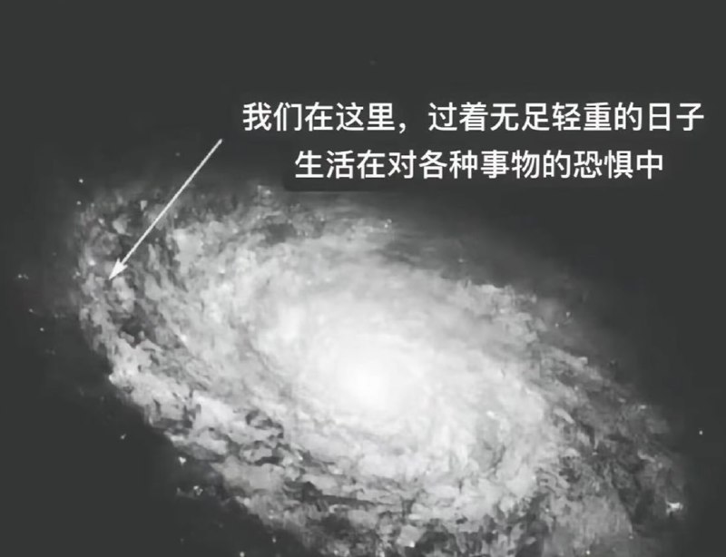 from 哈人