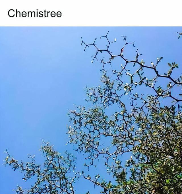 from Anzu什么都发 via Anzu Mayoi