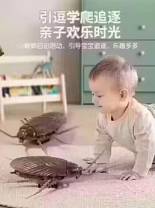 适合南方宝宝的玩具⚠🪳