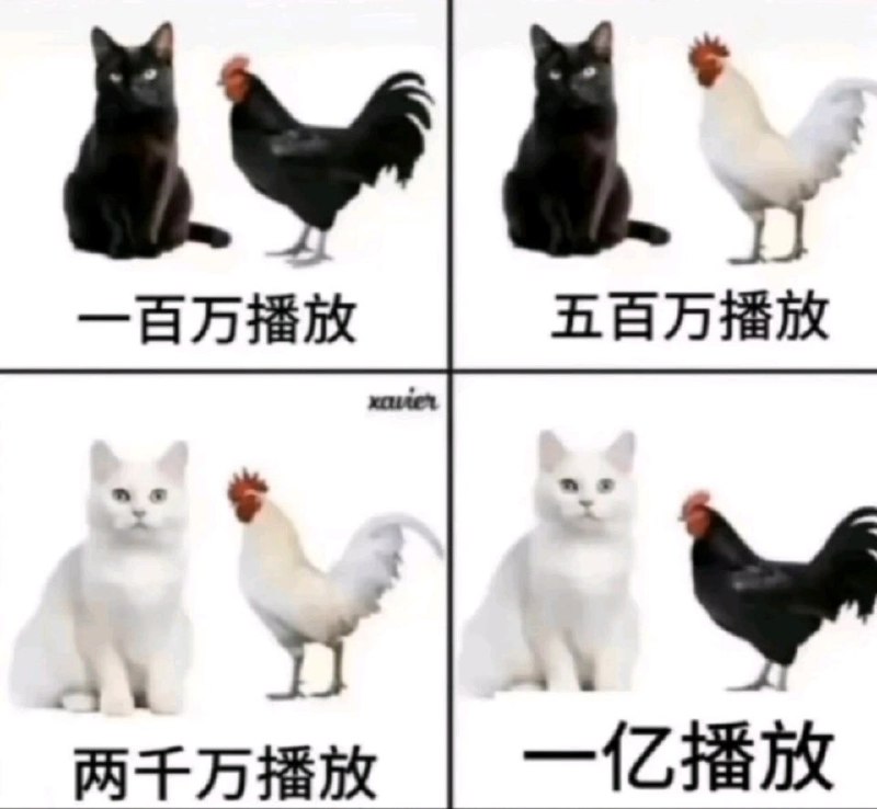这是什么意思咱看不懂呢from 哈人