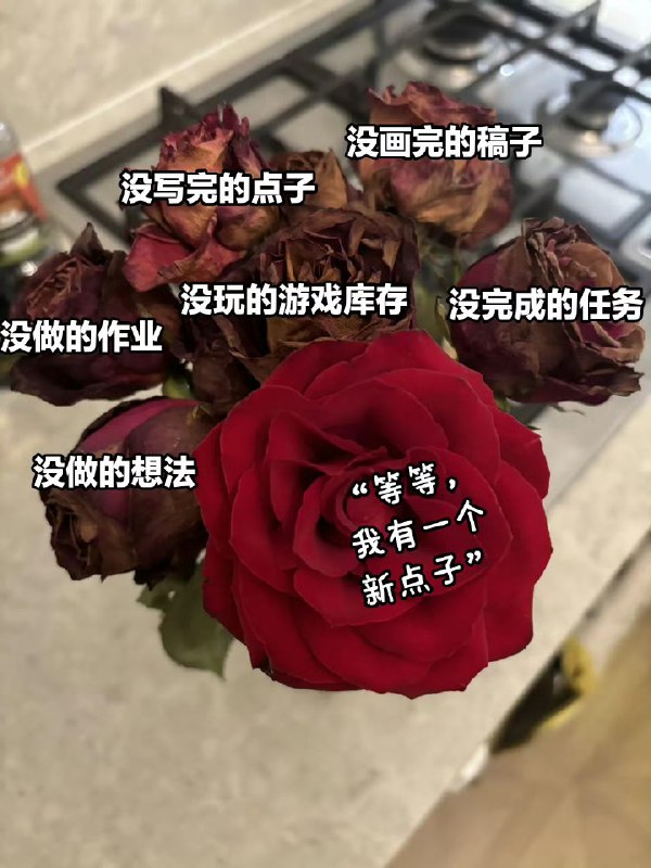 via 高槻泉不是高槻律