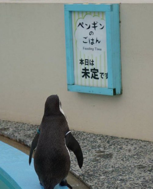 何やってんだお前ェっ‼︎‼︎