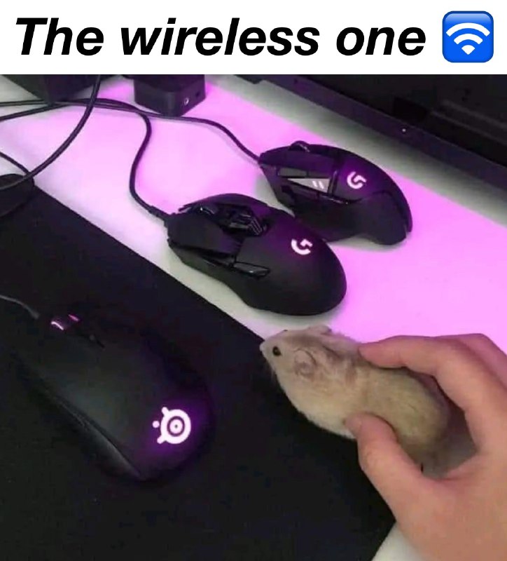 from Memes