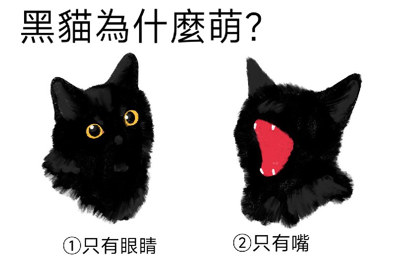 from 猫猫窝🐈🐈‍⬛