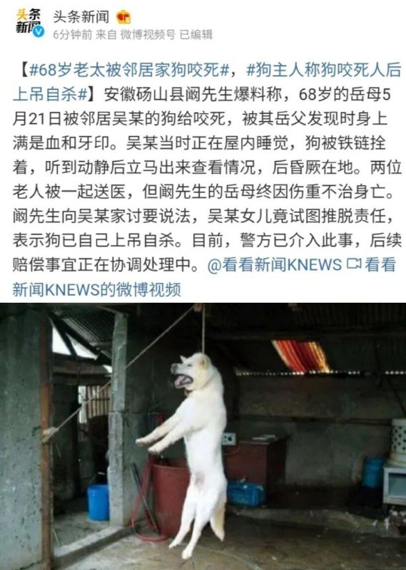 #沙雕  #优秀from 奶昔频道 - 还有【5】天高考