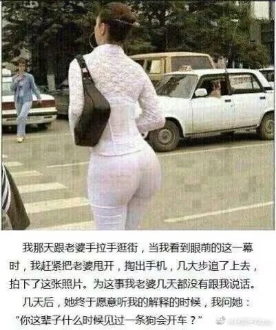出处未知，若有请告知