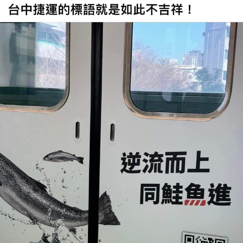 via 雨喵 | (´・ω・`)