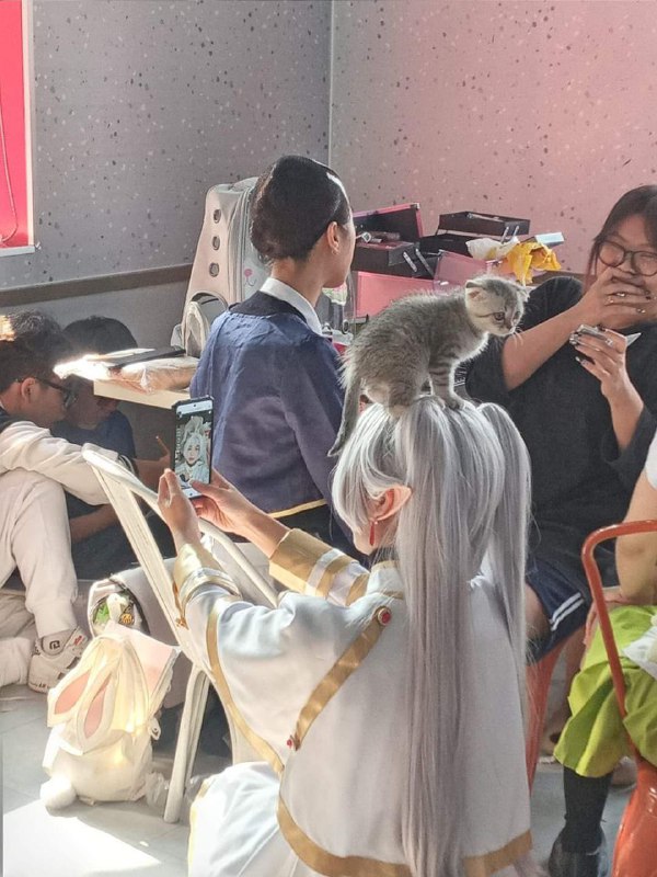 唯我独尊・宮内蛍