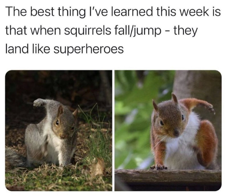 from Reddit