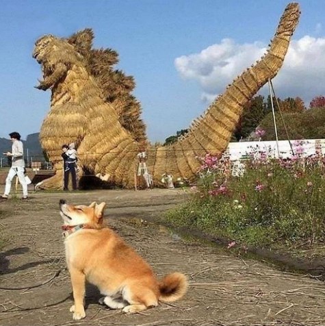 from Puppers and Borks via DECADE