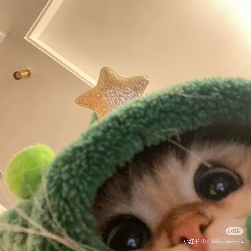 Hello therefrom Random Twitter Media