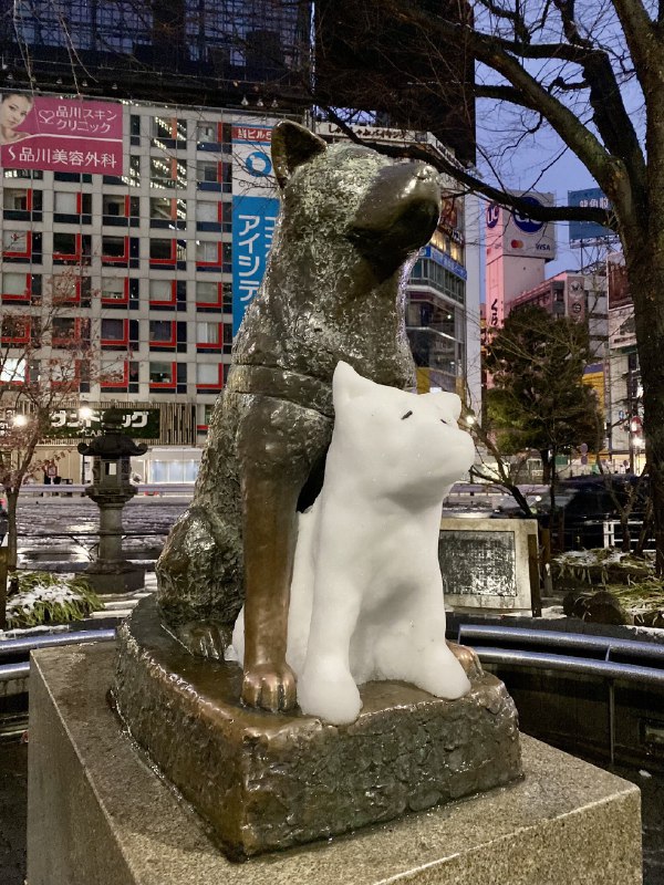 清水哲朗