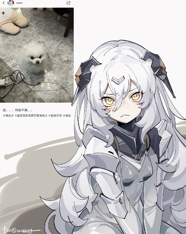 from 猫猫窝🐈🐈‍⬛