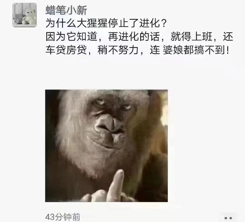 真有文化 #今天有什么好笑的from 即刻精选