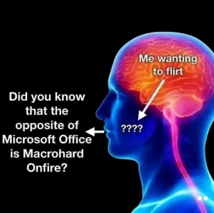 @ProgrammerHumor Flirting Microsoft Officefrom ProgrammerHumor