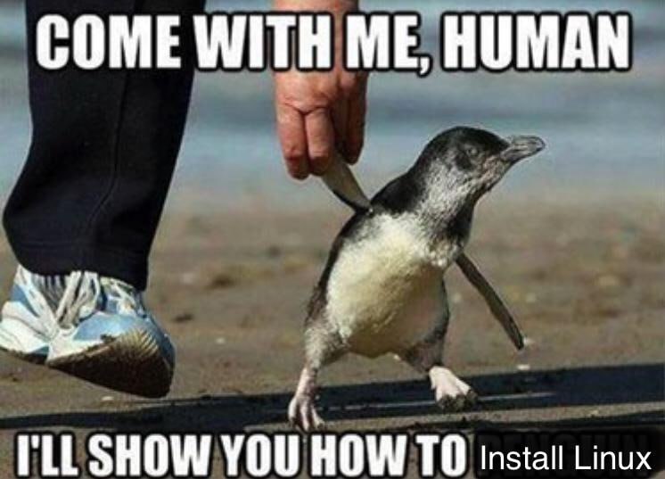 👩‍💻 sudo join 👉 @linux_memesfrom Linux memes