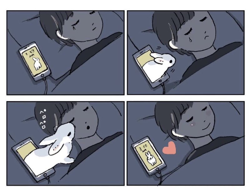 Why you should have a rabbit