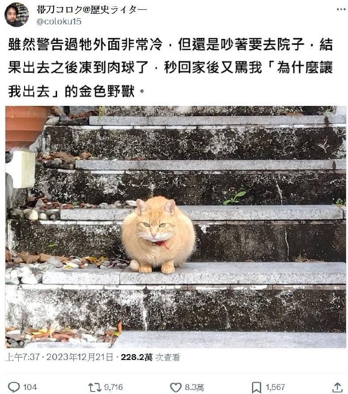 from allient neko