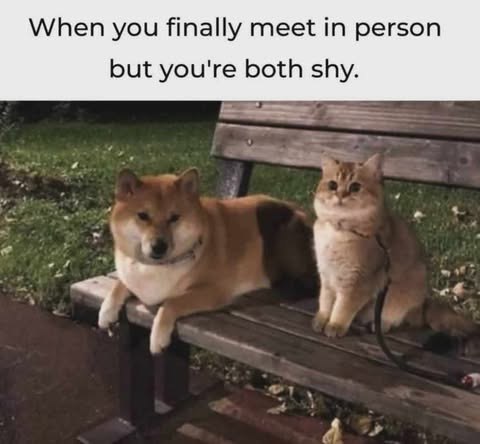 @Meme • Funniest Memesfrom Memes 🦙 Funniest Daily Memes